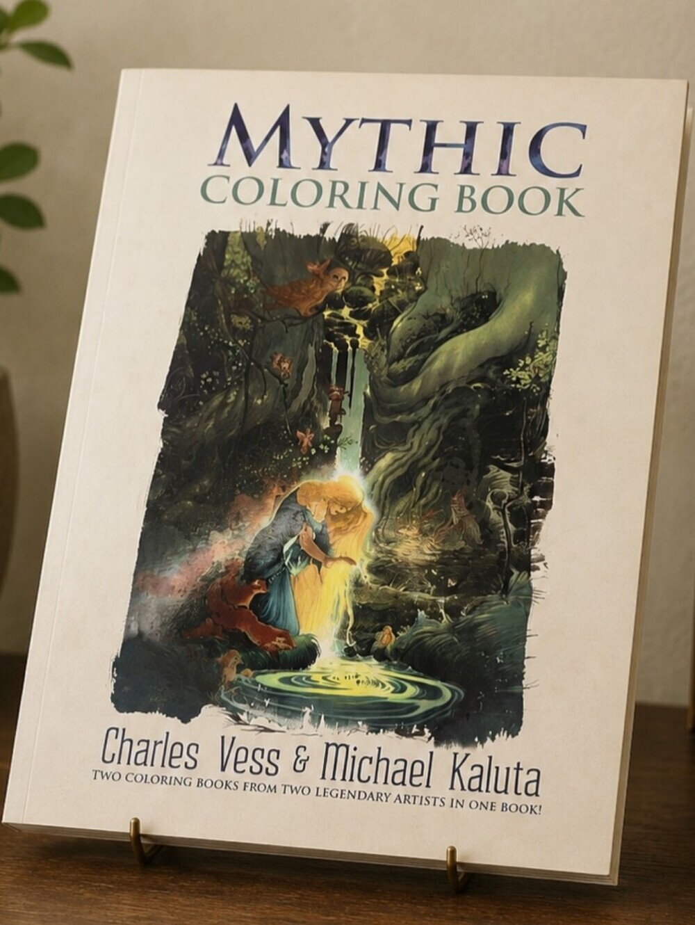 Charles Vess & Michael Kaluta Coloring Book
